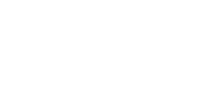 Project Vector